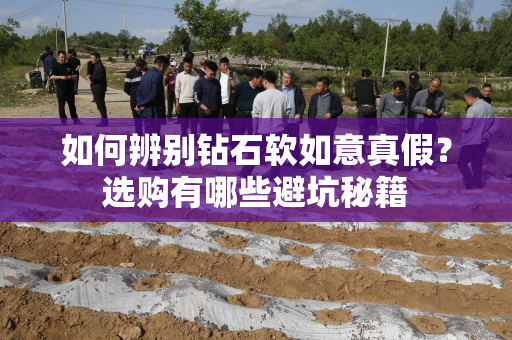 如何辨别钻石软如意真假？选购有哪些避坑秘籍